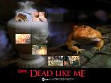 serieTV dead like me icone 